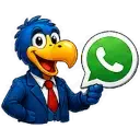 WhatsApp Leu Transporteur